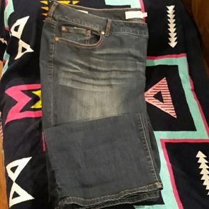 Torrid Jeans